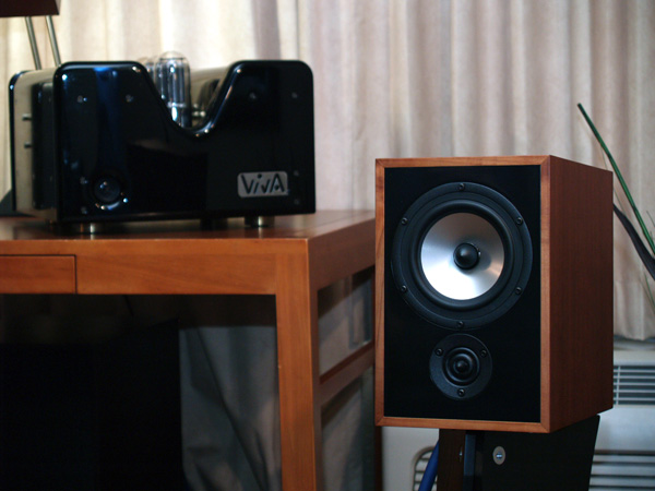 viva amplifier and trenner and friedl loudspeakers