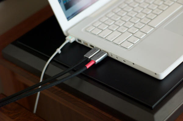The Acoustic Revive the USB-1.0SP USB 
Interconnect