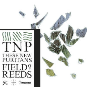 These New Puritans, Field of Reeds