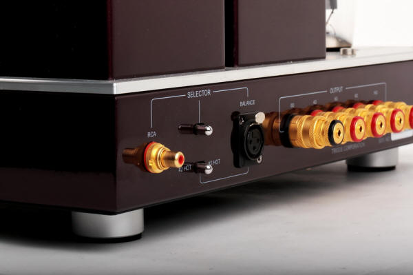 Triode TRX-M300 Amplifiers