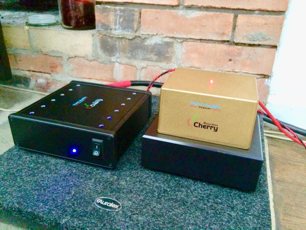 Tommy O’Brien Digital Amplifier Company