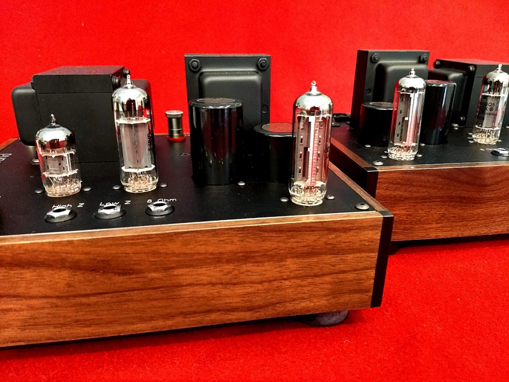 ampsandsound Leeloo Mono Tube Amplifiers
