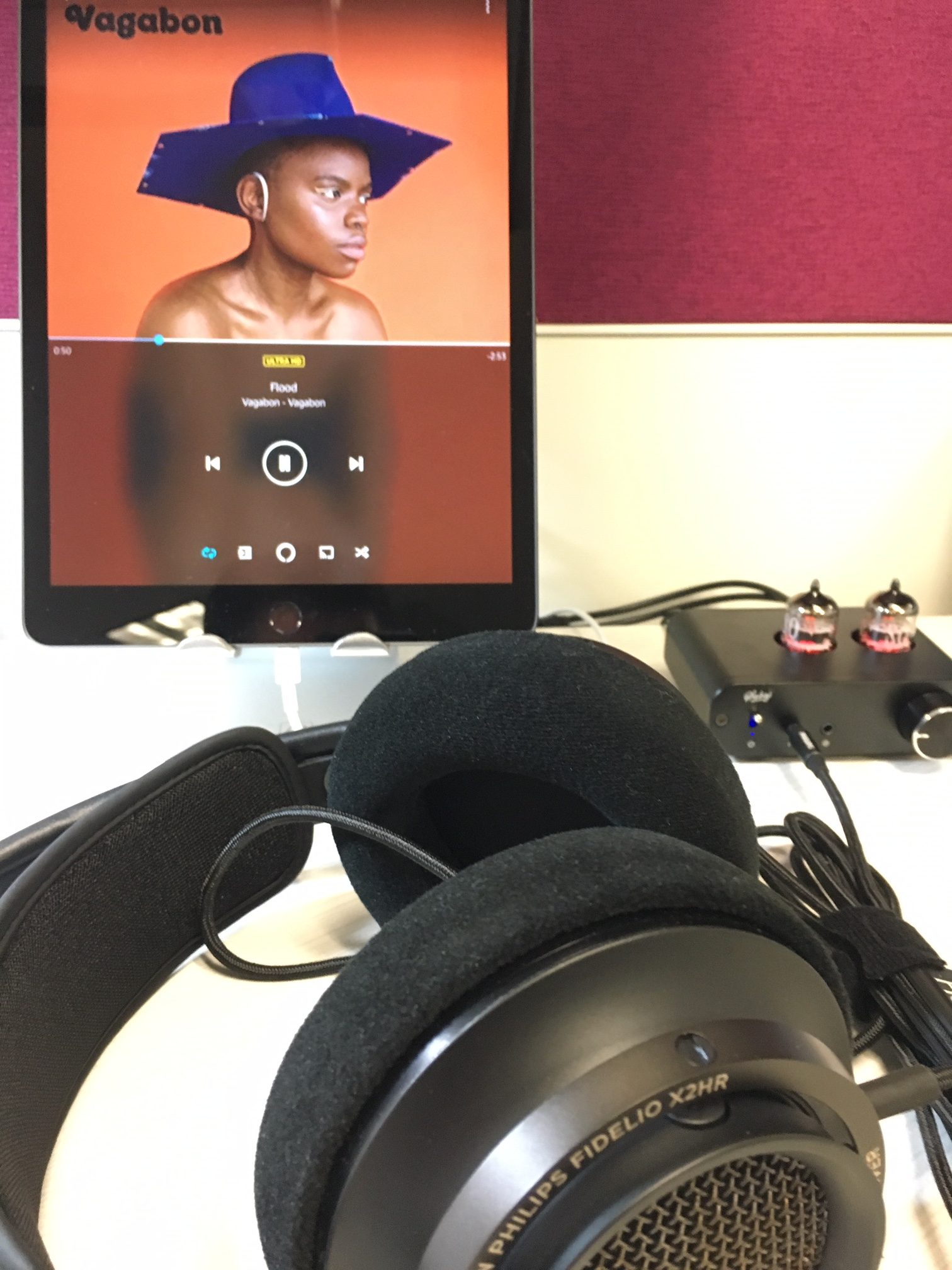 Tech Review: Philips Fidelio X2HR headphones