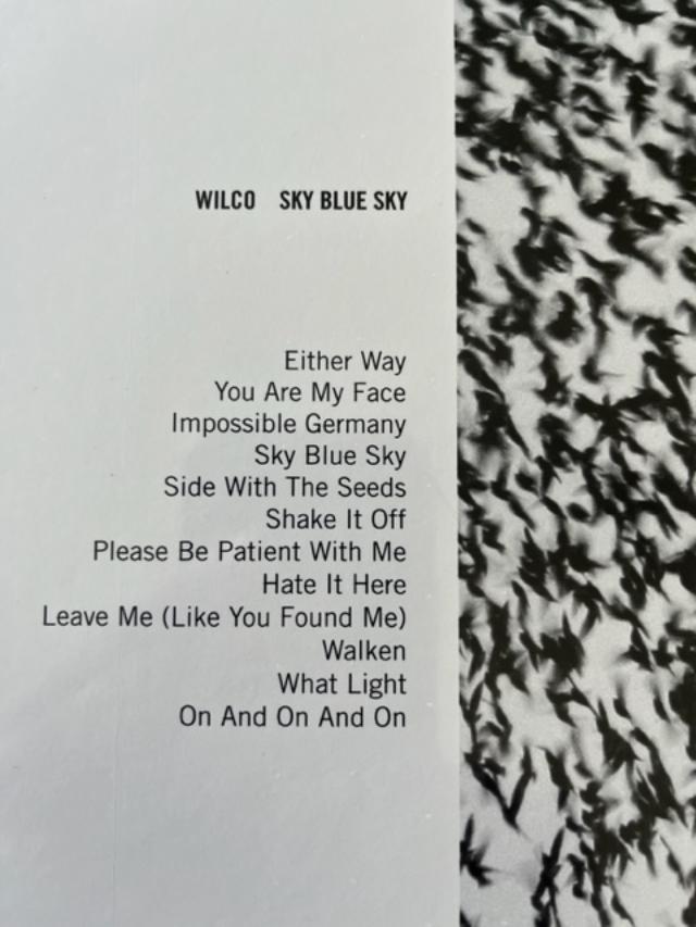 Wilco's Album 'Sky Blue Sky' Due on Limited-Edition Sky-Blue Vinyl  September 1 via Nonesuch Records